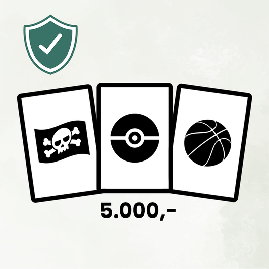 Forsikring - 5000.-